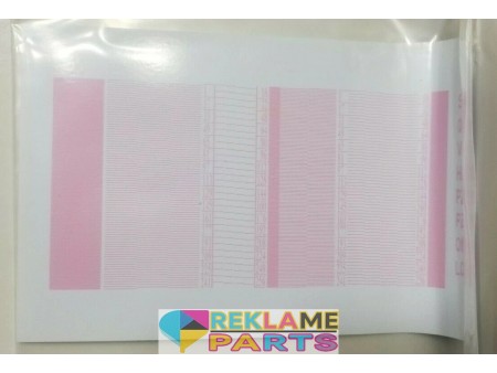 Sapphire QS-256/10 AAA QS10 Printhead For Durst Rho 1012