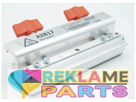 Original Printhead Avery / Novexx A2817 For Novexx ALX734