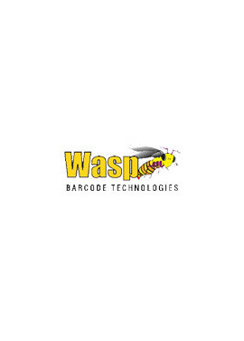 Wasp